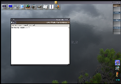Full AfterStep desktop