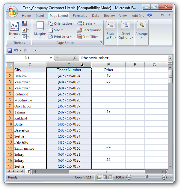 Use Conditional Formatting to Find Duplicate Data in Excel 2007