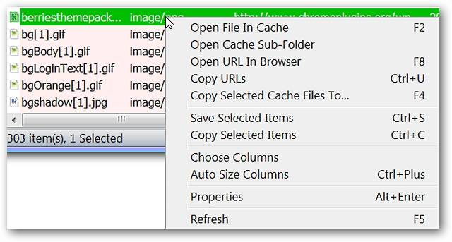 View Internet Explorer Cache Files the Easy Way