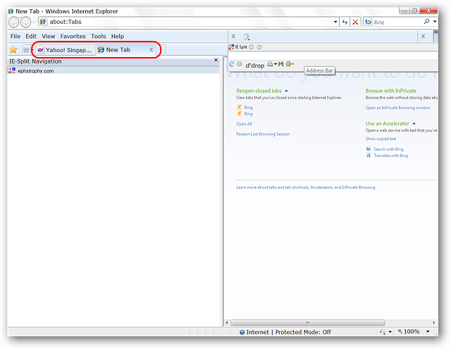 Split Internet Explorer into Dual-Panes