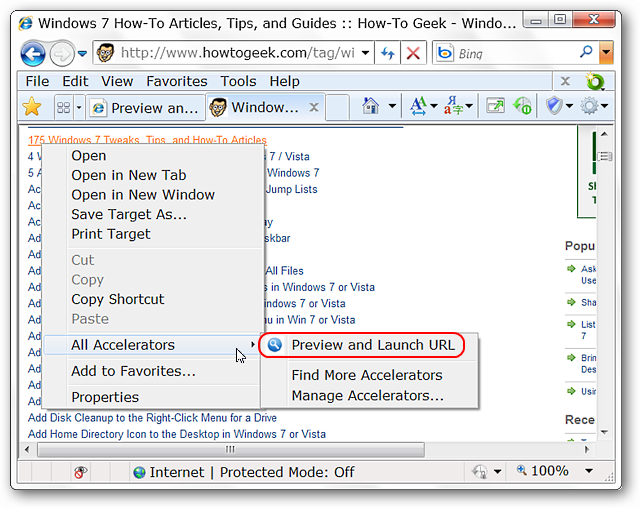 Preview and Verify URLs in Internet Explorer 8