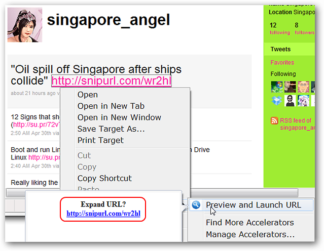 Preview and Verify URLs in Internet Explorer 8