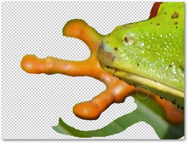 Remove Complex Backgrounds from Images in Photoshop