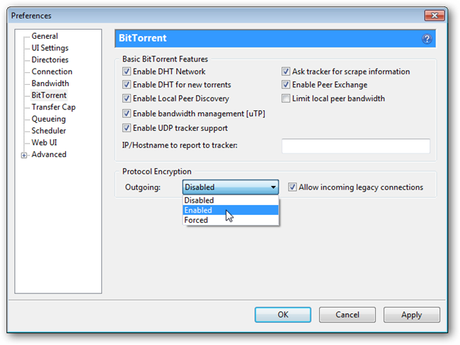 BitTorrent for Beginners: Protecting Your Privacy
