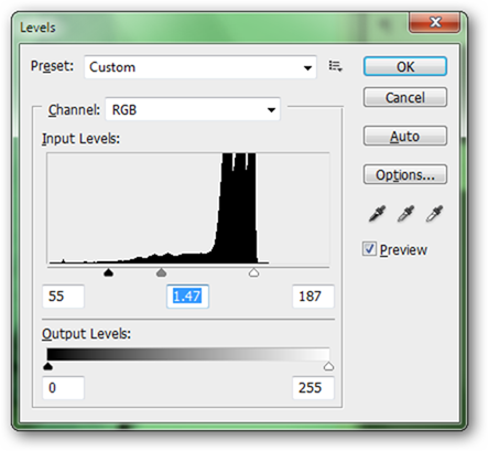 What is Camera Raw, and Why Would a Professional Prefer it to JPG?