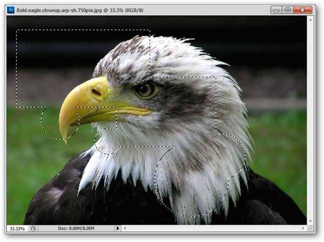 50+ Tools & Techniques to Remove Image Backgrounds in Photoshop, pt 1