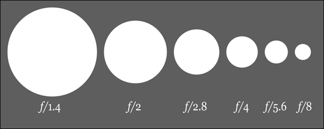 How Photography Works: Cameras, Lenses, and More Explained