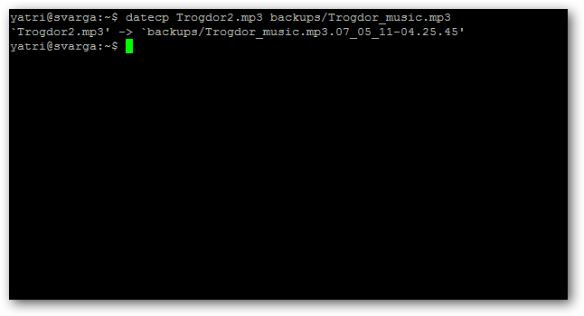 The Beginner's Guide to Shell Scripting: The Basics