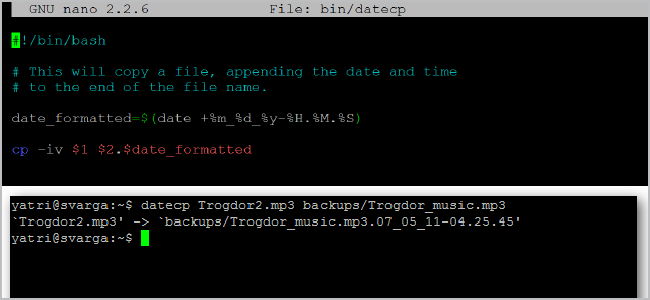 The Beginner's Guide to Shell Scripting: The Basics