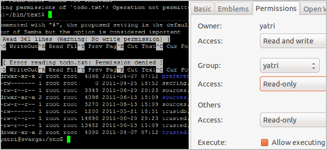 How Do Linux File Permissions Work?