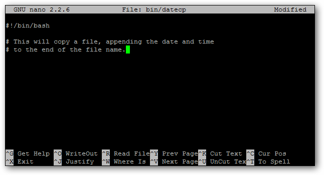 The Beginner's Guide to Shell Scripting: The Basics