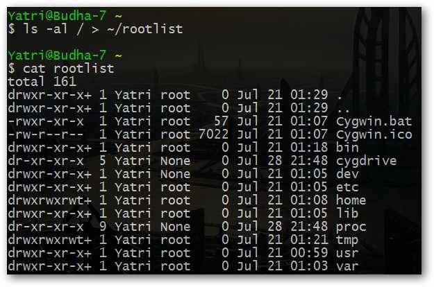 The Beginner's Guide to Shell Scripting 3: More Basic Commands & Chains