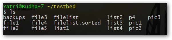 The Beginner's Guide to Shell Scripting 3: More Basic Commands & Chains