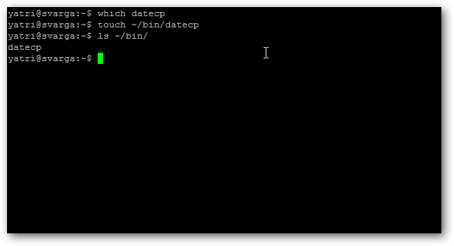 The Beginner's Guide to Shell Scripting: The Basics