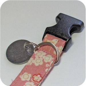 Geeky Do-It-Yourself Projects for Your Pets