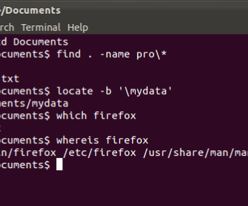 How to Display the Path of an Executable File in Linux