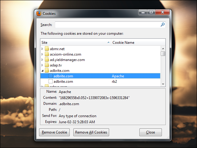 What Is a Browser Cookie?