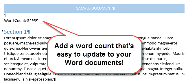 How to Insert a Word Count into Your Word Document