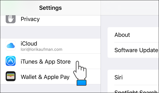 How to Enable or Disable Automatic Updates for iOS Apps