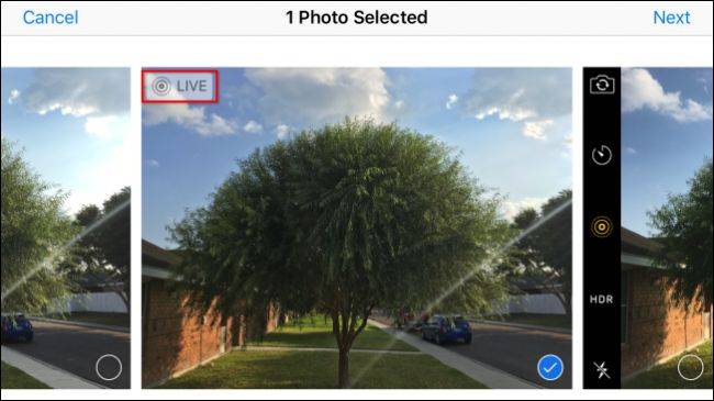 How to Convert Your iPhone's Live Photos to Still Photos
