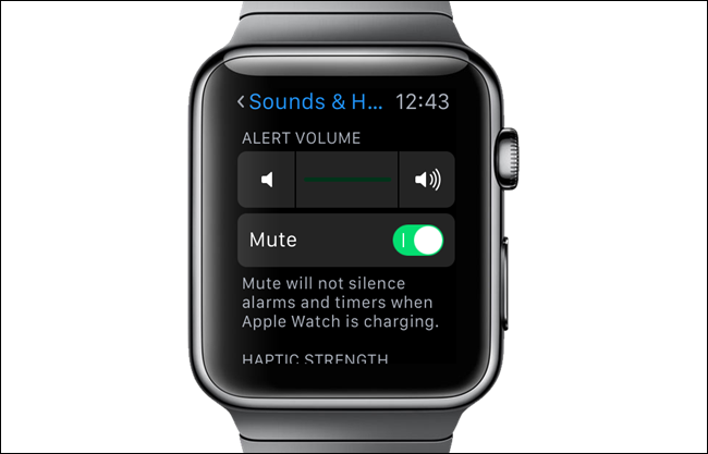 How to Make Your Apple Watch Vibrate More Prominently How to Make Your Apple Watch Vibrate More Prominently