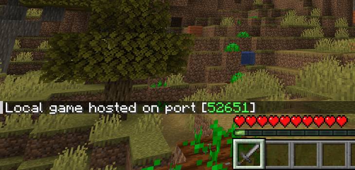 How to Troubleshoot Minecraft LAN Game Problems