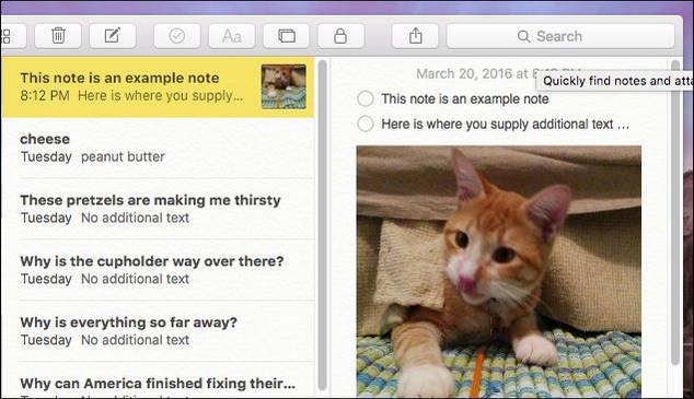 Notes App Rants How to Use Apple's New Notes App to Organize Your Thoughts
