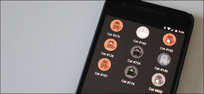 Android Cat Comp How to Enable Android Nougat's Cat-Collecting Easter Egg