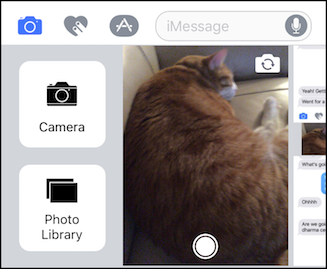 How to Take and Attach Photos to Messages in iOS 10