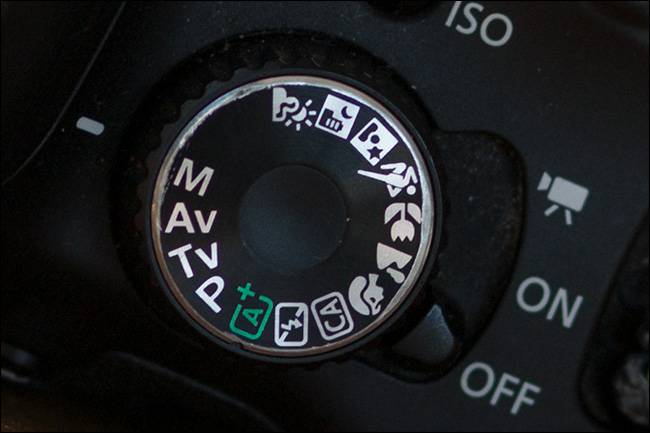 Get Out of Auto: How to Use Your Camera's Shooting Modes for Better Photos
