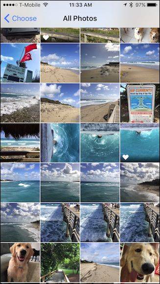 How to Take Awesome Live Photos with Your iPhone
