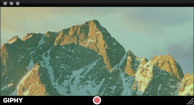 How to Turn Your Computer Screen Into an Animated GIF