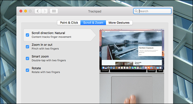 How to Disable Apple's Backwards 