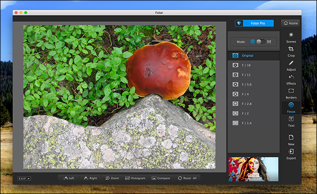 The Best Free Photo Editors for macOS
