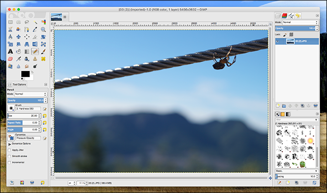 A screenshot of the GIMP image editor open. There is an an image of a spider walking across a cable.