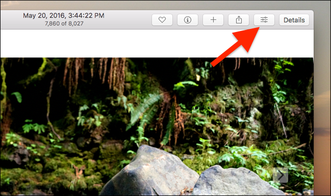 The Best Free Photo Editors for macOS