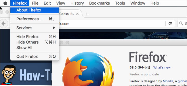 Which Version of Firefox Am I Using?