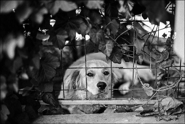 Medium Format Image What Is