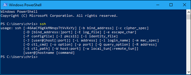 WIndows 10's native SSH interface.