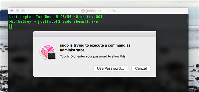 How to Run Sudo Commands Using Touch ID on macOS
