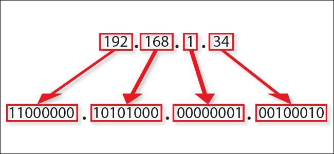 How Do IP Addresses Work?