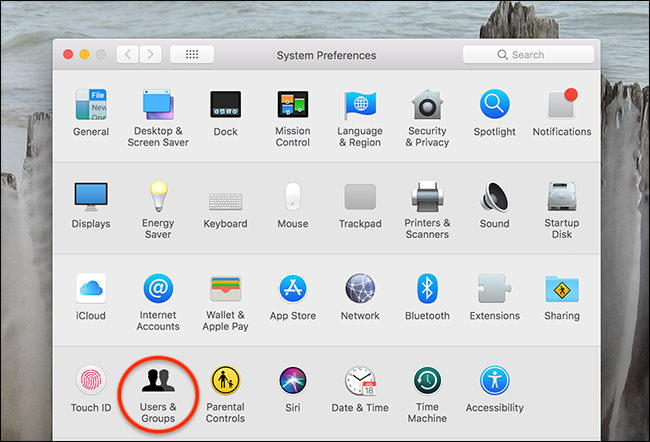 How to Enable the Root User in macOS