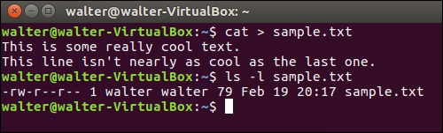 Create Text Sample Linux How to Quickly Create a Text File Using the Command Line in Linux