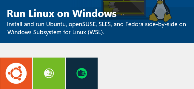 Linux Windows Dist How to Set Your Default Linux Distribution on Windows 10