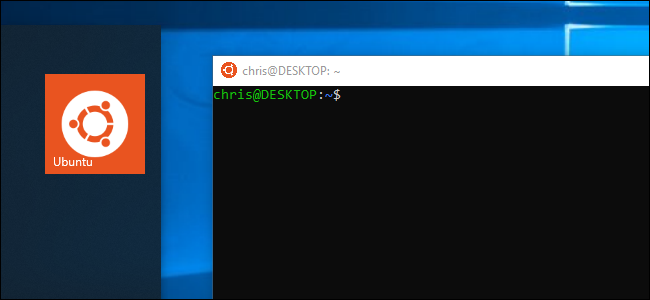 Everything You Can Do With Windows 10's New Bash Shell