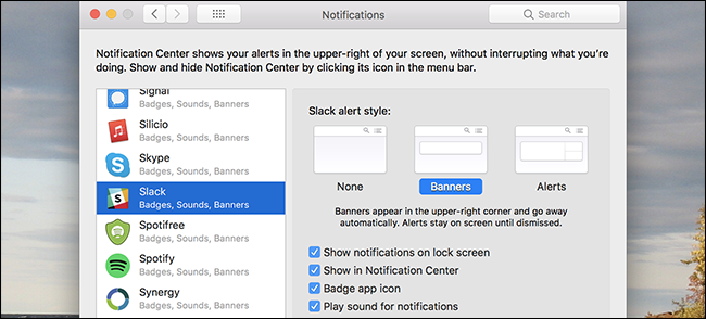 How to Disable Notifications Everywhere