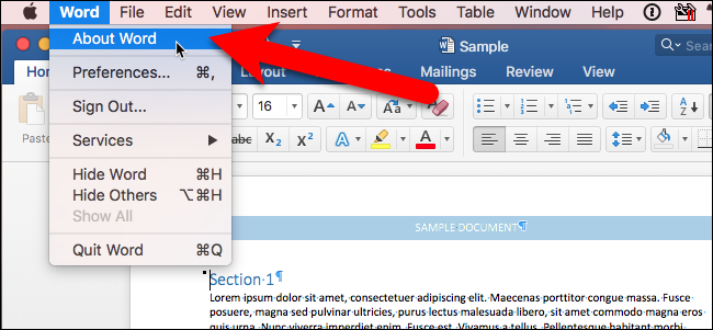 What's the Latest Version of Microsoft Office?