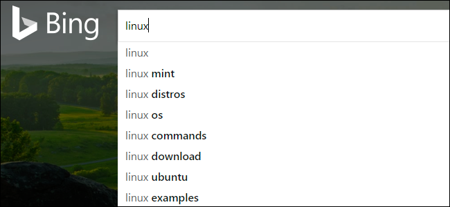 How To Clear Your Bing Search History