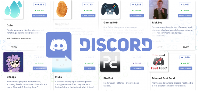 The Best Discord Bots to Power Up Your Server