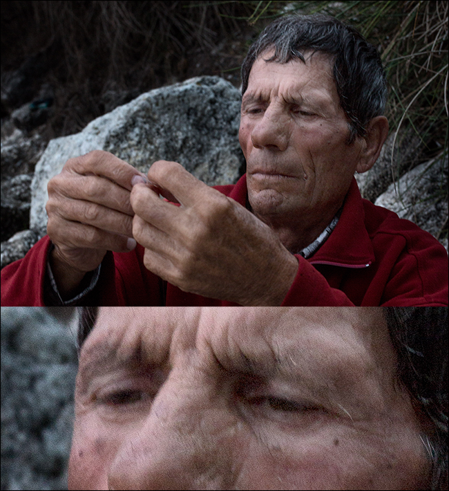 What Does It Mean for a Photo to be “Sharp?”